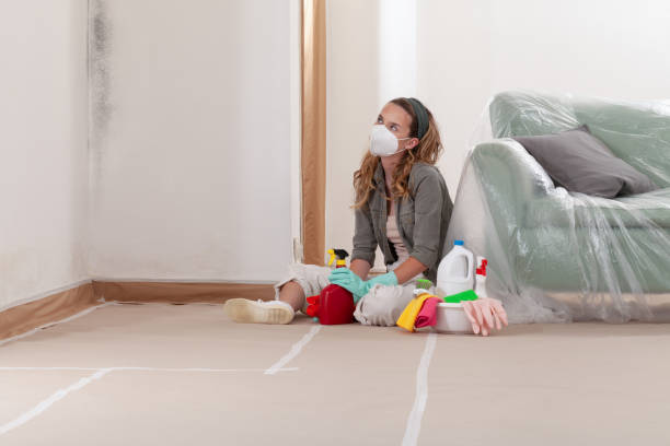 Reliable Crawl Space Mold Removal contractor in Woodridge, IL by WQB Mold Removal